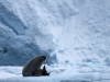 Resa till Svalbard, Kristian GÃ¤rdsborn