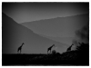 01_Thorsten-