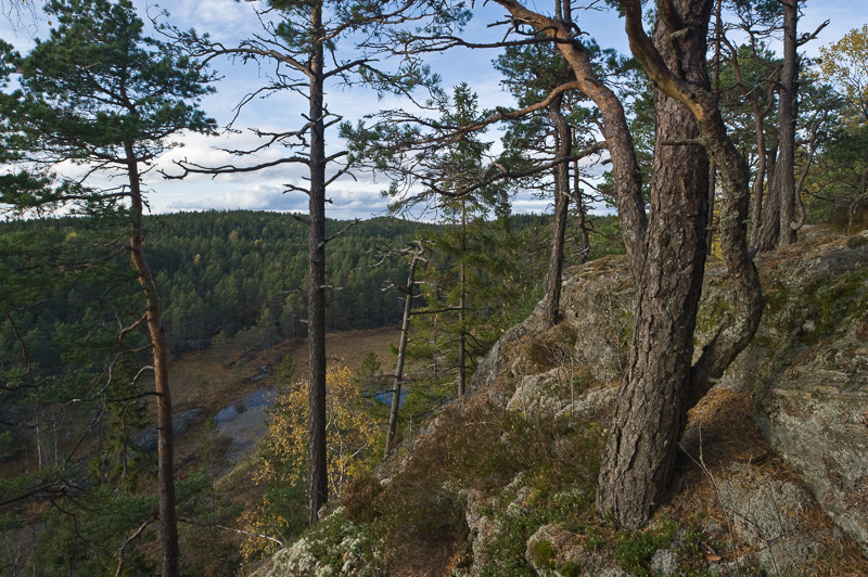 Jukka Lausmaa