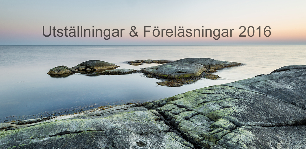 utställningar